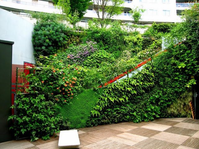 Thiết kế thi công vườn tường đứng tại Nghệ An