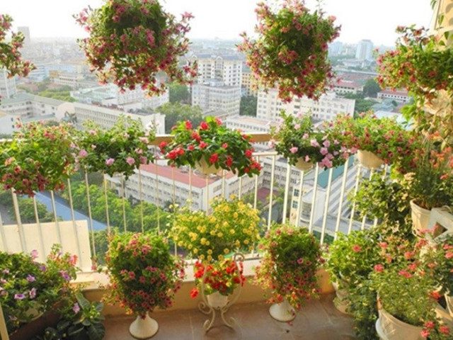 Thi công tiểu cảnh ban công tại hà tĩnh
