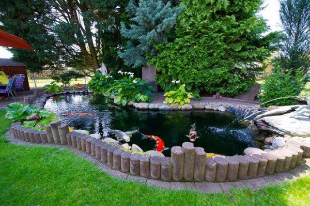 Thiết kế thi công sân vườn tại Hà tĩnh