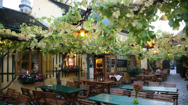 thiết kế thi công tiểu cảnh khách sạn tại vinh nghệ an hà tĩnh 10