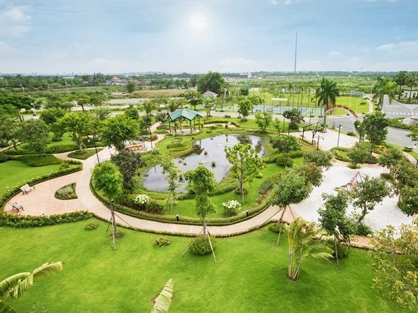 dịch vụ trồng cung cấp cây cảnh cho biệt thự tại nghệ an hà tĩnh 9