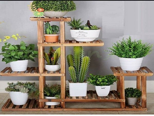 thiết kế thi công tiểu cảnh sen đá