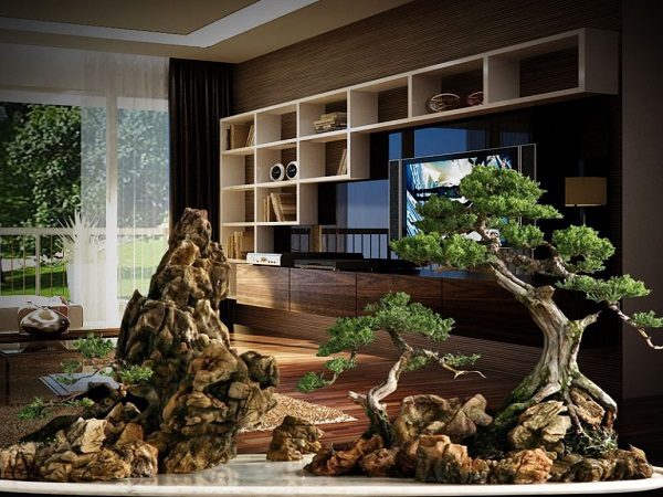 thiết kế thi công tiểu cảnh trong nhà