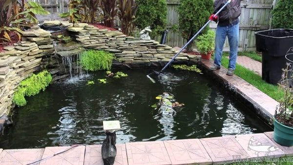 Chuyên cải tạo hồ cá koi tại Nghệ An Hà Tĩnh