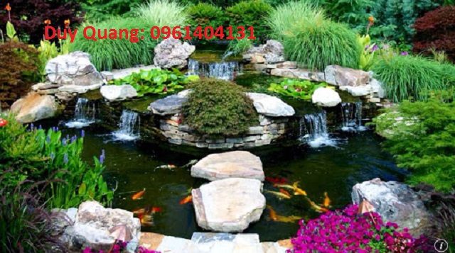 thiết kế thi công hồ cá koi mini ngoài trời