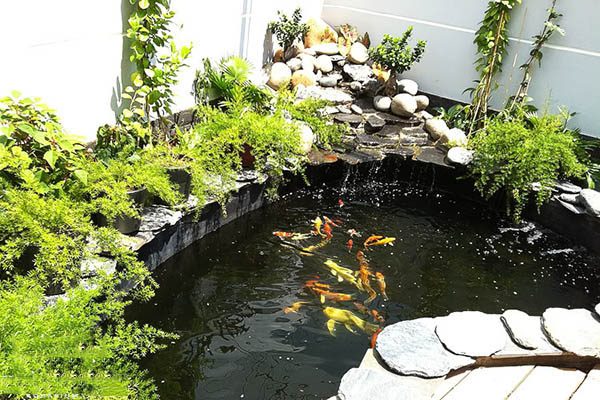 Thiết kế tiểu cảnh hồ cá koi tại Nghệ An