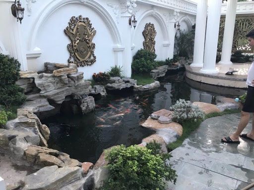 Thiết kế tiểu cảnh hồ cá koi tại Nghệ An