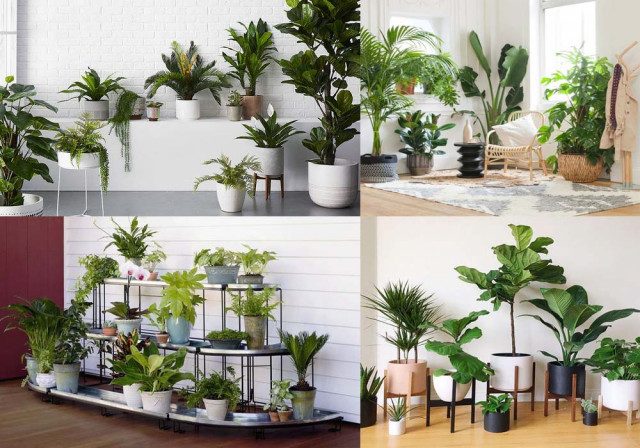 trang trí tiểu cảnh văn phòng đẹp tại nghệ an