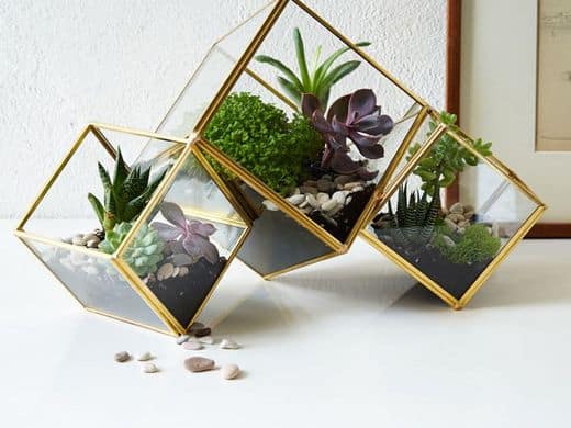 trang trí tiểu cảnh văn phòng đẹp tại nghệ an