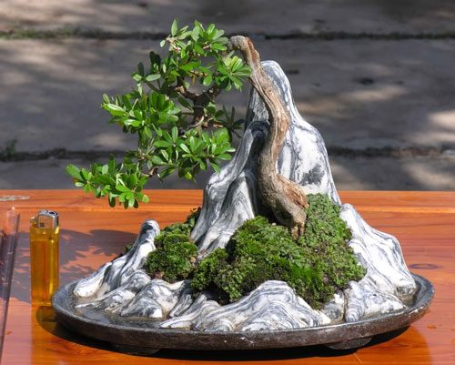 Hòn non bộ mini để bàn