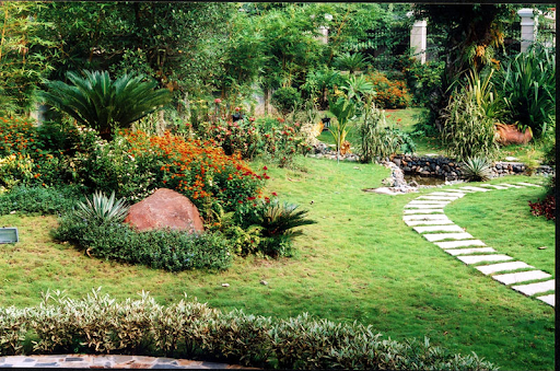 Dịch Vụ Thiết Kế Thi Công Tiểu Cảnh Sân Vườn Tại Cà Mau Độc Đáo