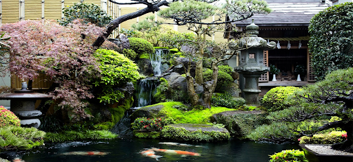 Tìm Hiểu Dịch Vụ Thiết Kế Cảnh Quan Sân Vườn Tại Đà Nẵng