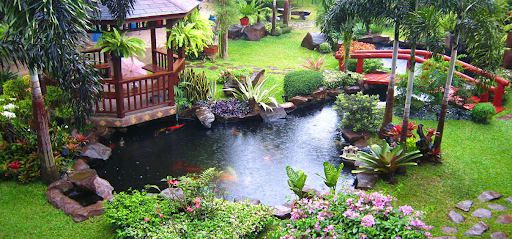 Thiết Kế Cảnh Quan Sân Vườn Tại Hải Phòng