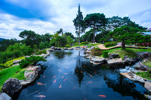 Thiết Kế Cảnh Quan Sân Vườn Tại Quảng Nam