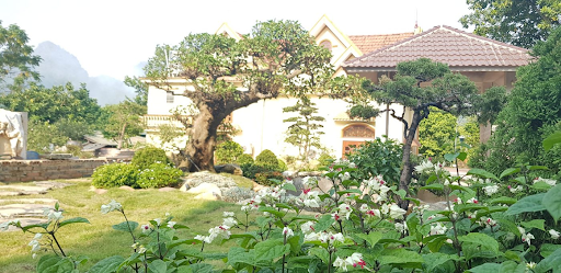 Thiết Kế Cảnh Quan Sân Vườn Tại Bắc Ninh
