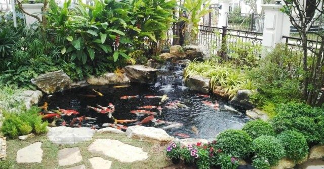 [Báo Giá] Thiết Kế Thi Công Sân Vườn Tại Điện Biên Hiện Đại