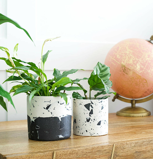 Chậu Terrazzo đa dạng mẫu mã