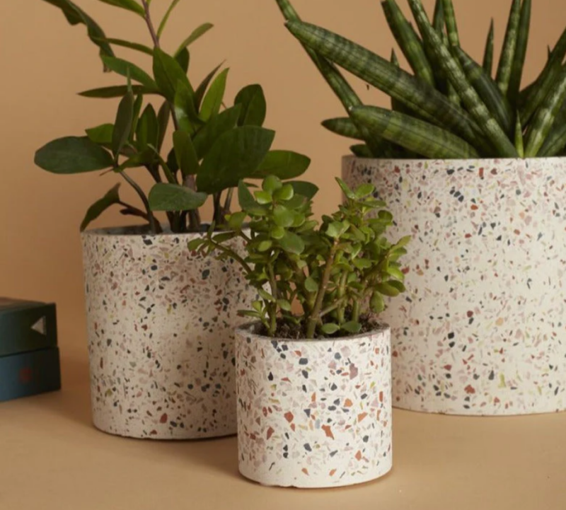 Chọn mua trên cửa hàng online