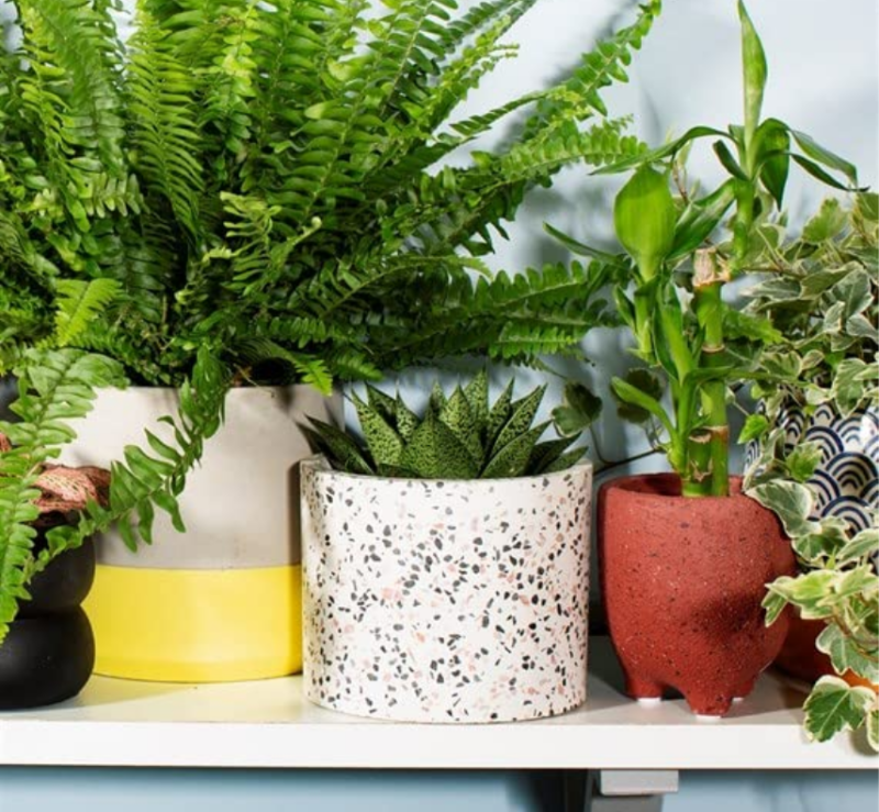 Mua chậu Terrazzo Lào Cai tại Duy Quang Art