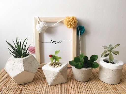 Xác định kích thước cây cảnh