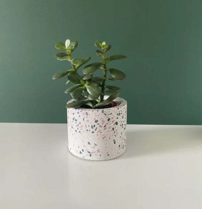 Cơ Sở Cung Cấp Chậu Cảnh Terrazzo Tại Lai Châu