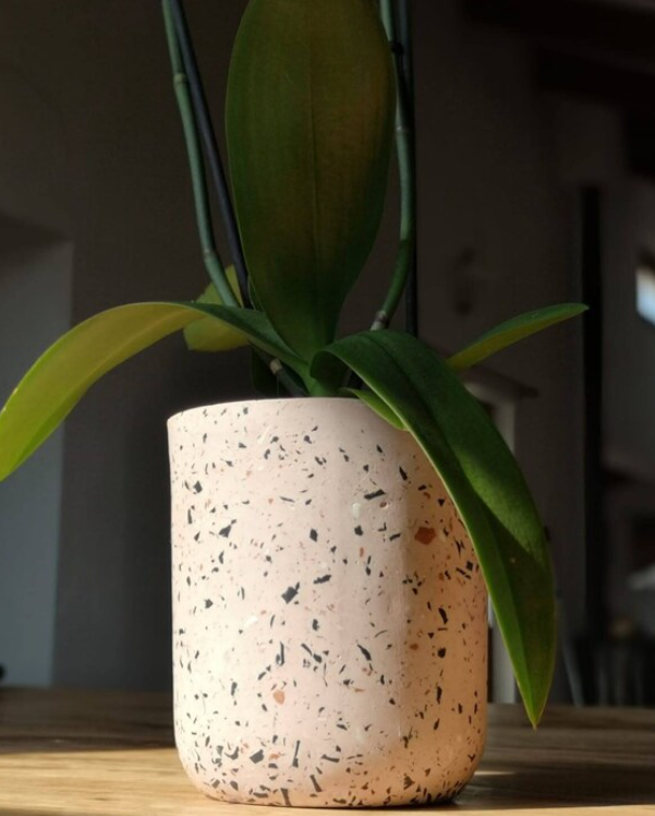 Cơ Sở Cung Cấp Chậu Cảnh Terrazzo Tại Lai Châu