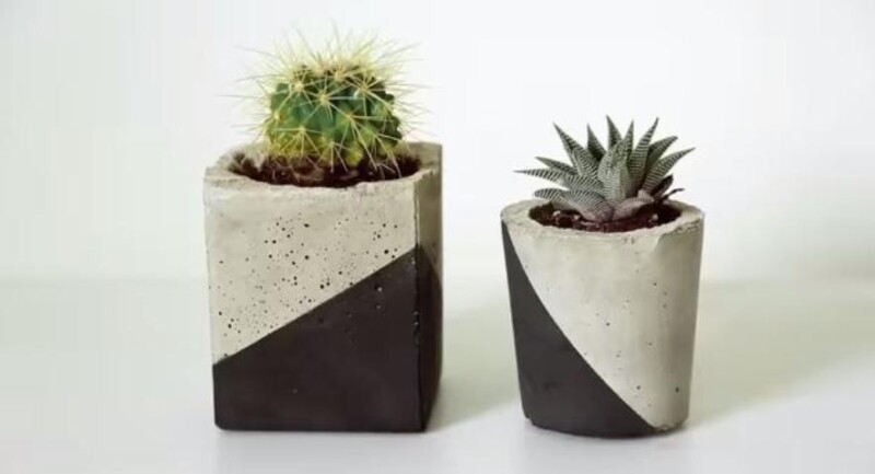 Quy tắc lựa chọn chậu cây Terrazzo