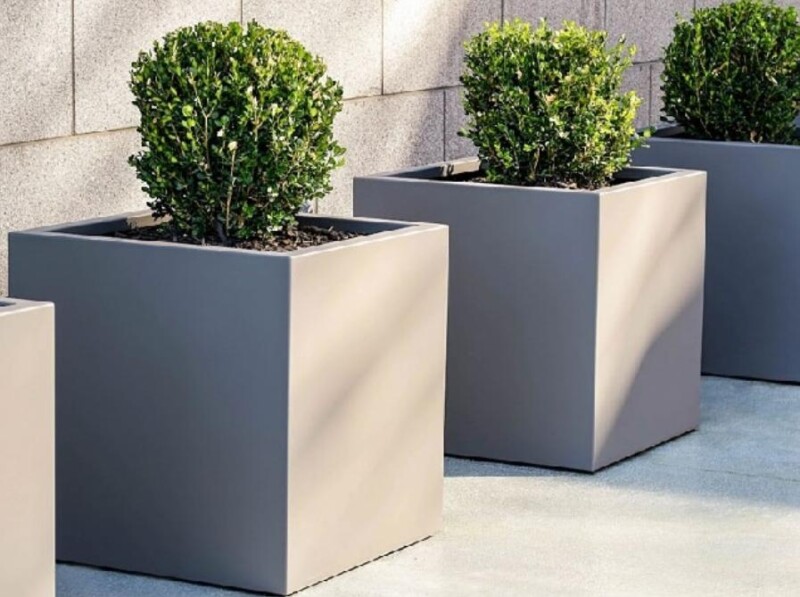 Địa Chỉ Cung Cấp Mua Bán Chậu Cảnh Giá Rẻ Uy Tín