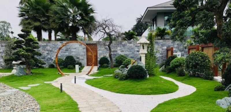 Địa Chỉ Cung Cấp Mua Bán Chậu Cảnh Giá Rẻ Uy Tín